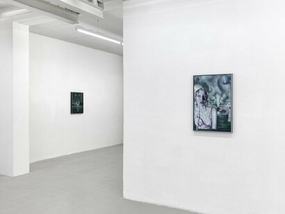 Tali Lennox, Sulis and the wreck, exhibition view. Courtesy of Sébastien Bertrand Gallery