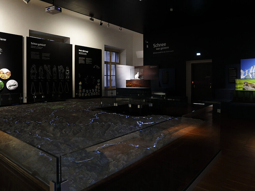 Climate change in Styria