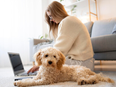 Working from home often allows for a more flexible schedule, which helps people balance work and personal life