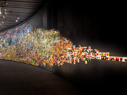 Trevor Paglen, vista de la instalación From 'Apple' to 'Anomaly' (Londres, 2019–2020)