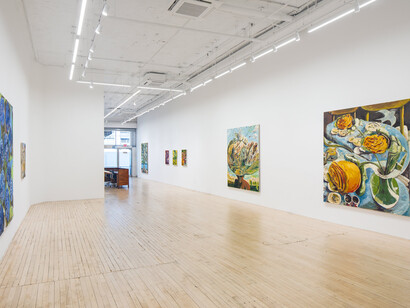 Ken Taylor Reynaga, Golden hills, exhibition view. Courtesy of Shrine 