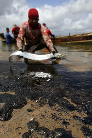 Catástrofe ambiental em Salvador