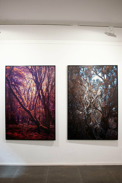 Various artists, Roots, exhibition view. Courtesy of Luisa Catucci Gallery