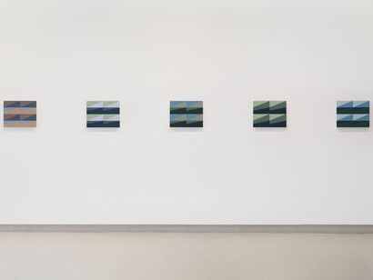 Marisa Ferreira, Econarratives of a trembling Earth, exhibition view. Courtesy of Galeria Presença