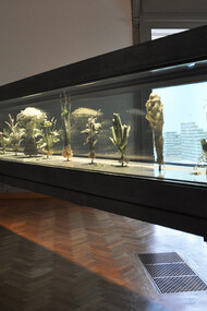 Julian Charrière, Tropisme, 2014
