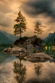 Any living organism, from bacteria to man, is an open system