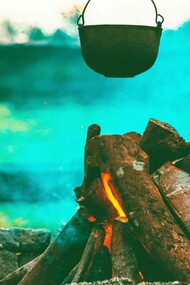 The roaring firewood