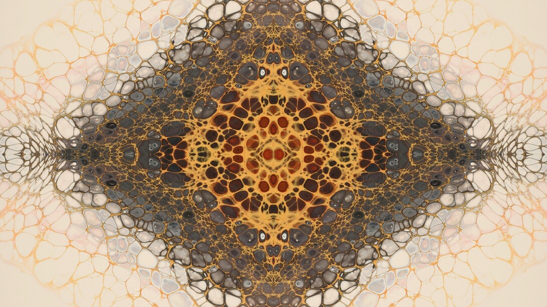 Economia e olismo non solo possono convivere, ma insieme generano valore più ricco, duraturo e autentico