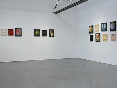 Brigitte Carnochan, Fiber and light, exhibition view. Courtesy of Themes+Projects