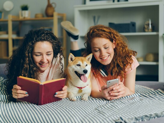 Passando pelos familiares e igualmente ficcionais Biruta (Lygia Fagundes Telles), Bruno Lichtenstein (Rubem Braga), Firififi (Dalton Trevisan), Garm (o cão falante de J. R. R. Tolkien no “Farmers Giles of Ham”), Japir (José de Alencar), Madrugada (Orígenes Lessa), Mila (Carlos Heitor Cony), Perigo (Domingos Pellegrini), Pingo-de-ouro (Guimarães Rosa), Plutão (Olavo Bilac), Quincas Borba (Machado de Assis), Samba (Maria José Dupré), Tentação (Clarice Lispector), Toto (de Dorothy, n’O Mágico de Oz), Tusca (Marina Colasanti), Uno (Walcir Carrasco), Veludo  (Luiz Guimarães), Zig (Rubem Braga) e os da BD Milu (de Tintim), Idéiafix (de Obélix), até aos reais de Arthur Schopenhauer (Butz), Clarice Lispector (Ulisses), Dorothy Parker (Misty), John Steinbeck (Charley), Stephen King (Marlowe), Virginia Woolf (Pinka), até aos celebrizados pelo cinema. No conjunto, são uma espécie heterogénea que vai emergindo de uma vasta, genológica e modalizadamente diversa literatura, da épica à BD