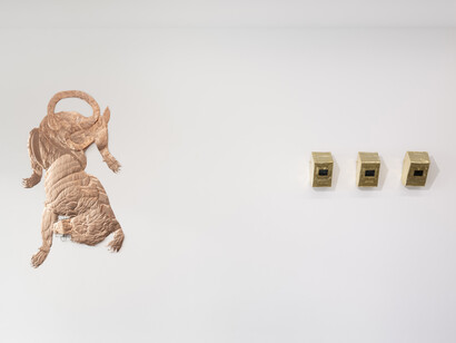 Bekhbaatar Enkhtur, Tinct, vista de exhibición. Cortesía de Galería Pedro Cera