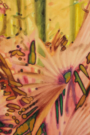 Isabelle De Kleine, Sun washed #1 (detail), 2025. Courtesy of Linton and Kay 