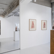 Berlinde De Bruyckere, Need, vue de l'exposition. Avec l'aimable autorisation de la Galleria Continua