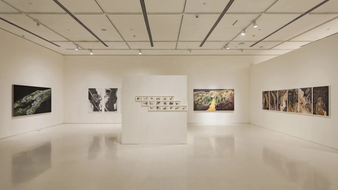 Vishal Kumar Gupta, Field notes (On the afterlife of trees), exhibition view. Courtesy of Emami Art