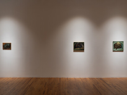 Lewis Hammond, The rabbits, exhibition view. Courtesy of 47 Canal