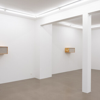 Henrik Håkansson, An ideal for living (The insect societies, prototype), ausstellungsansicht. Mit freundlicher genehmigung der Galerie Meyer Riegger