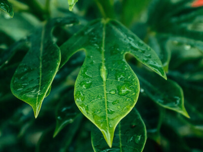 Goutte après goutte, le mouvement se fait lent mais continu : une métaphore de la transformation, où chaque geste compte dans la transition écologique