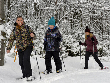 Para los amantes del aire libre, Ushuaia, Argentina, ofrece múltiples senderos de trekking que conducen a glaciares imponentes y miradores naturales