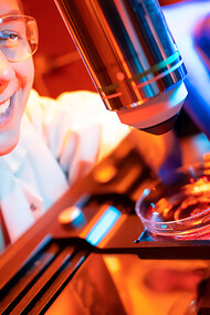 At the frontier of brain science: A researcher examines neural organoids under the microscope, unlocking mysteries of consciousness in the lab