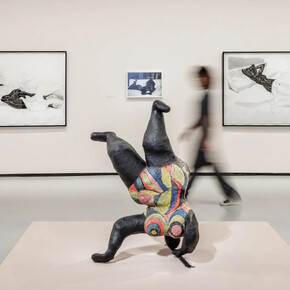 Artistes divers, Corps et âmes, vue de l'exposition. Avec l'aimable autorisation de la Collection Pinault