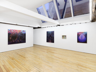 Nianxin Li, Neon haze, exhibition view. Courtesy of Uffner & Liu Gallery