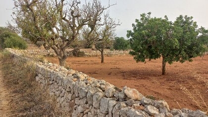 Muretti di pietra patrimonio dell'UNESCO, Mallorca, Spagna
