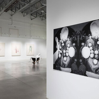 Stanley Février, Terre des fissures, exhibition view. Courtesy of Blouin Division