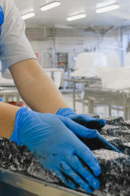 Fabricação de queijo. Ao comprar um alimento no supermercado, o consumidor nunca se pergunta se o produto é seguro, ou se vai causar algum problema de saúde