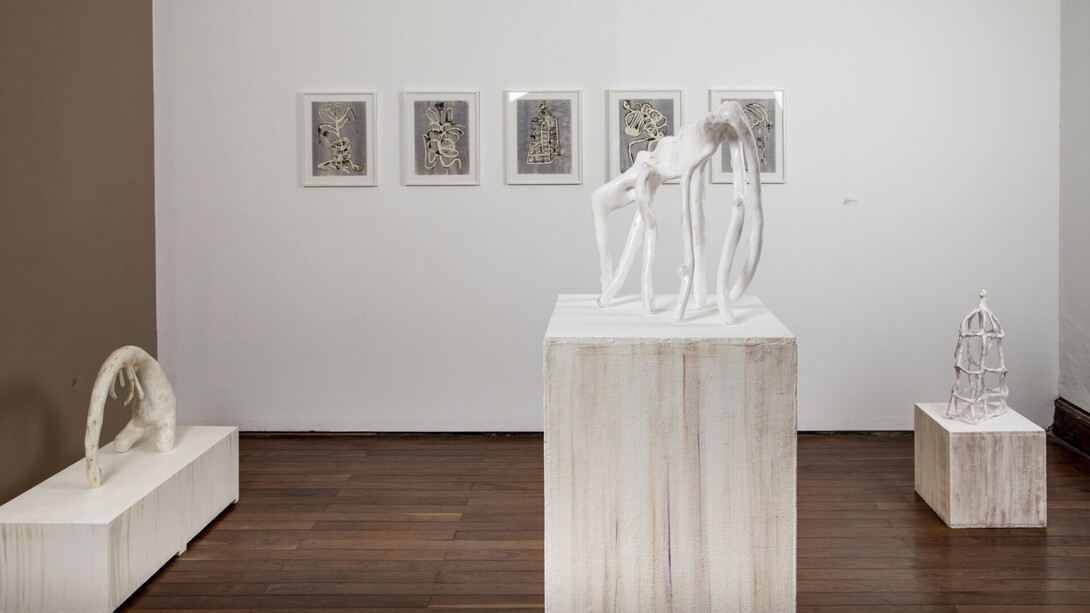 Carla Grunauer, La orilla sentimental, vista de exhibición. Cortesía de Piedras Galería
