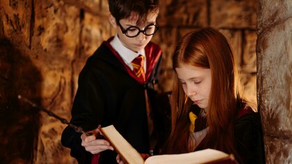 The Park Prodigy, com as Universal Islands of Adventure, é um exemplo dos que reúne diversas referências, com destaque para o Jurassic Park. Ou The Wizarding World of Harry Potter, homenageada por uma rede de mais de 38 parques que tem sido desenvolvida desde 2001 (começando pelo Harry Potter Movie Magic Experience, em Gold Coast, Queensland, Austrália). Os Parques Temáticos Resort da Merlin Entertainments (Reino Unido, Itália e norte da Alemanha, como o Alton Towers Resort e o Gardaland Resort)