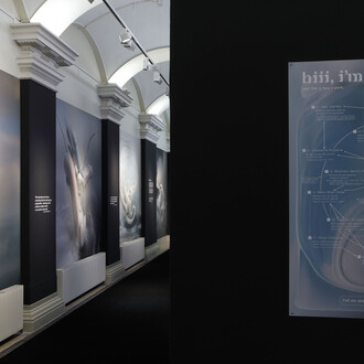 Between code and care: Flynn's portrait of human connections, exhibition view. Courtesy of Francisco Carolinum Linz