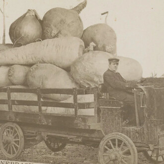 Fake! Courtesy of Rijksmuseum