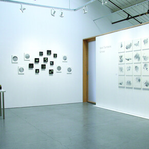 Seiko Tachibana, Echoes, exhibition view. Courtesy of Themes+Projects