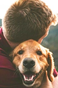 A canine and human bonding with one another
