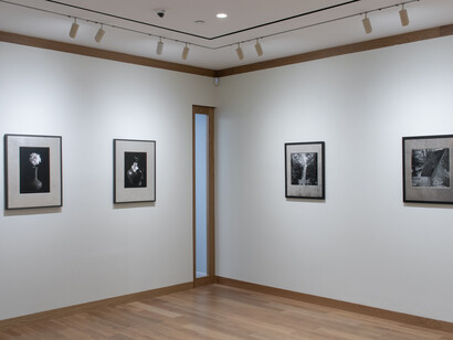 Kenro Izu, Mono no aware – The beauty of impermanence, exhibition view. Courtesy of Howard Greenberg Gallery