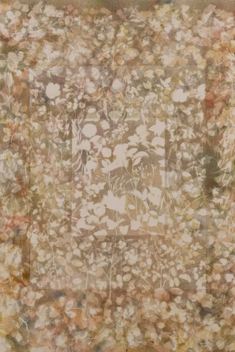 Sam Falls. Courtesy of Tomio Koyama Gallery 