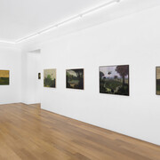 José Gamarra, Murmures dans la forêt, vue de l'exposition. Avec l'aimable autorisation de la galerie Xippas
