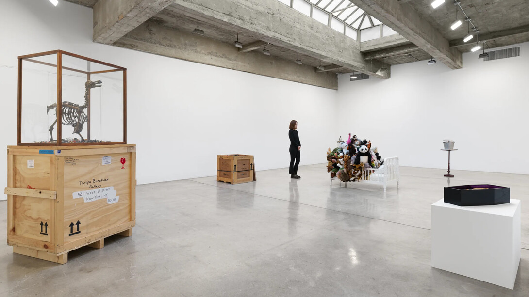 Mark Dion, exhibition view. Courtesy of Tanya Bonakdar Gallery