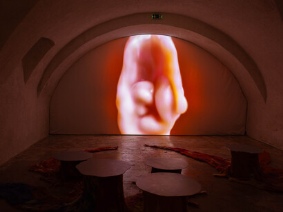 Katarína Bajkayová, Prunus perisca, exhibition view. Courtesy of the Bratislava City Gallery