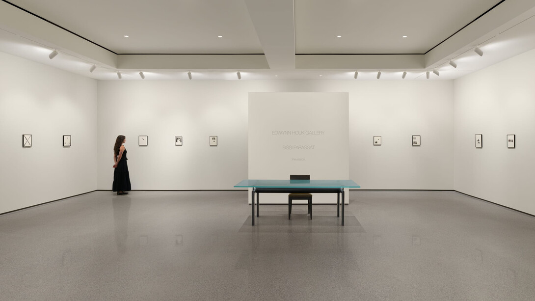 Sissi Farassat, Revelation, exhibition view. Courtesy of Edwynn Houk Gallery