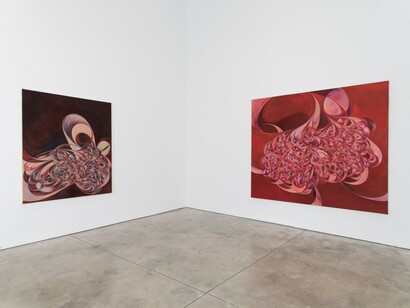 Yuan Fang, Spaying, exhibition view. Courtesy of Skarstedt Gallery