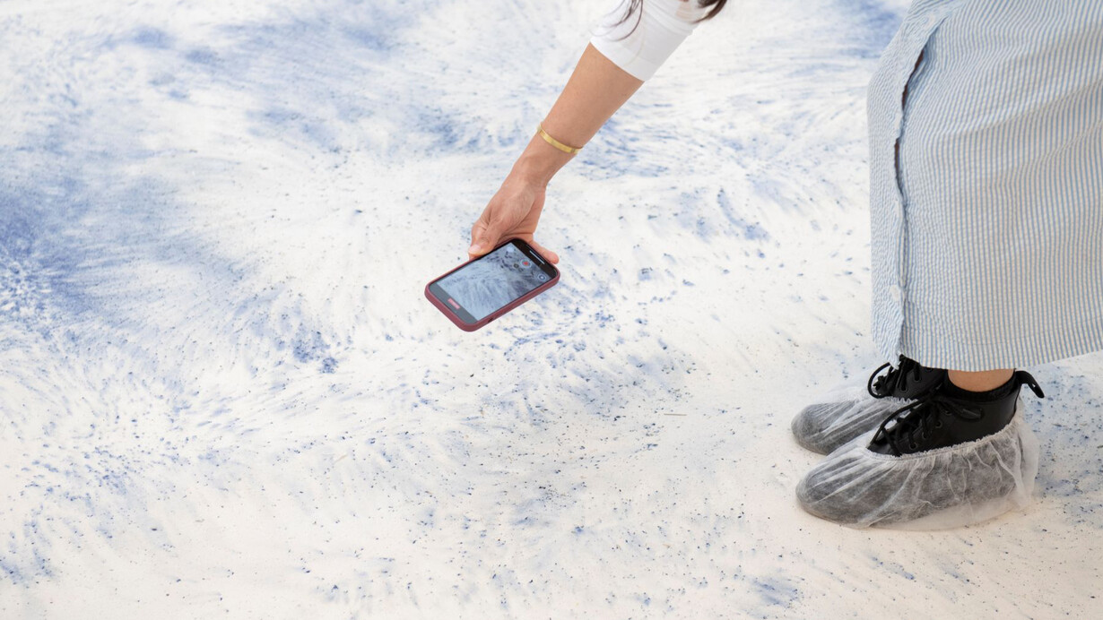 Juliana dos Santos, Früh, ausstellungsansicht. Mit freundlicher genehmigung der Pinacoteca