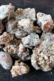 Immagine di un preparato di Theriaca.