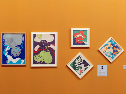 Flávio Império: you have the will and it is free, exhibition view. Courtesy of Pinacoteca