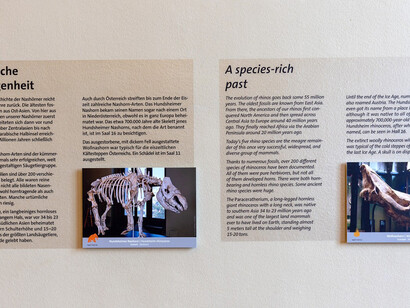 Freighted, exhibition view. Courtesy of Naturhistorisches Museum Wien