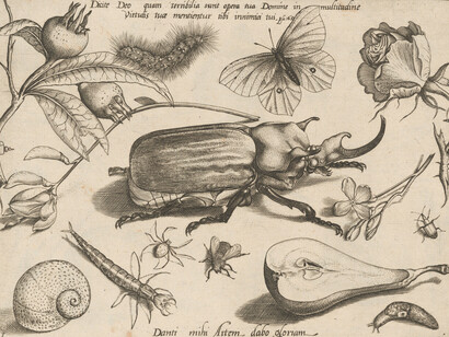 Joris Hoefnagel, Part 1, plate 1, from the series Archetypa studiaque (Archetypes and studies), published 1592. Courtesy of National Gallery of Art