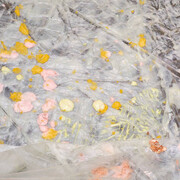 Karla Black. Courtesy of SCHIRN