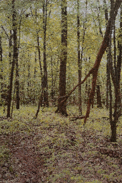 Kirstin Lamb, Walk near Litchfield, 2024. Courtesy of Gallery Naga
