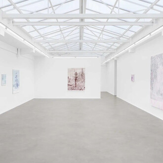 Marcel Berlanger, La disparition des limicoles, exhibition view. Courtesy of rodolphe janssen gallery