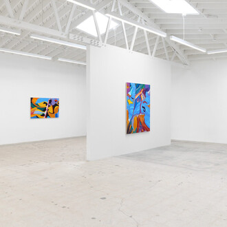 Heather Guertin, The radiant edge, exhibition view. Courtesy of Anat Ebgi 